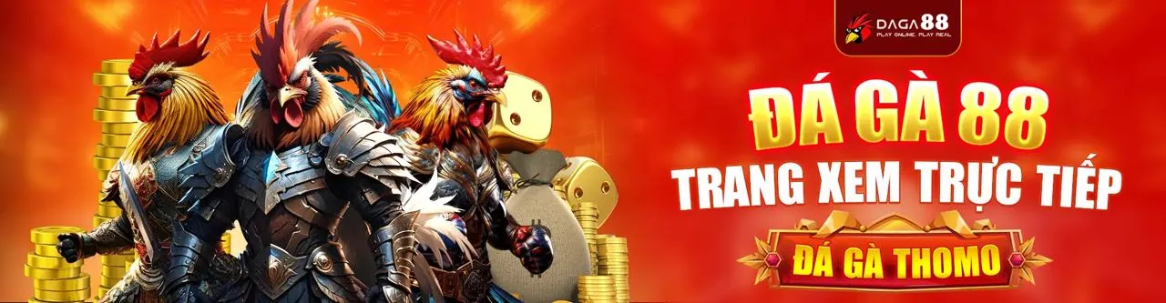 Sân vận động đầy ắp khán giả và không khí cá cược thể thao sôi động tại 678win uy tín